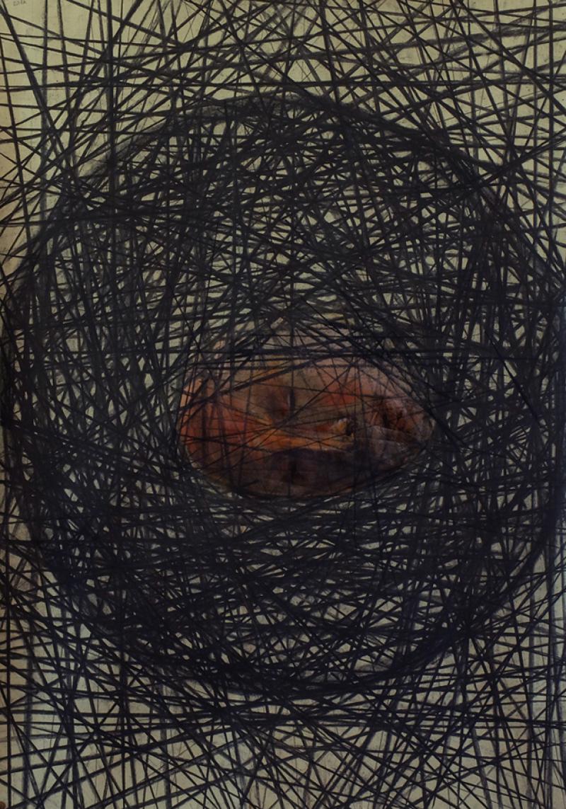 Baksai 2016, Az erősebb jogán II., 100x70cm, szén, akvarell, papír