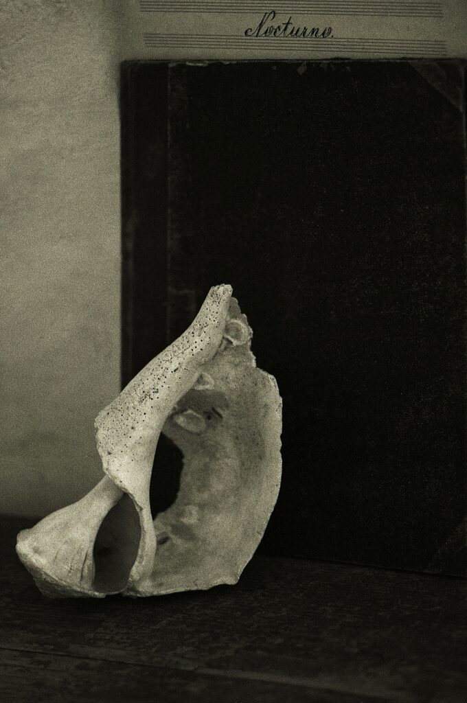 Baksai József: Nocturno, 2017, SMC Pentax 135 mm, f: 2,5, Ilford Pan 400