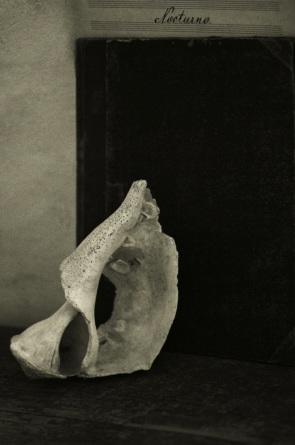 Baksai József: Nocturno, 2017, SMC Pentax 135 mm, f: 2,5, Ilford Pan 400